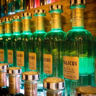 The Art of Italicus