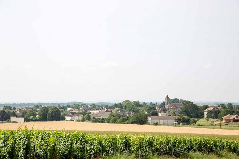 Das Dorf Ambonnay – eine der ältesten und berühmtesten Lagen der Champagne