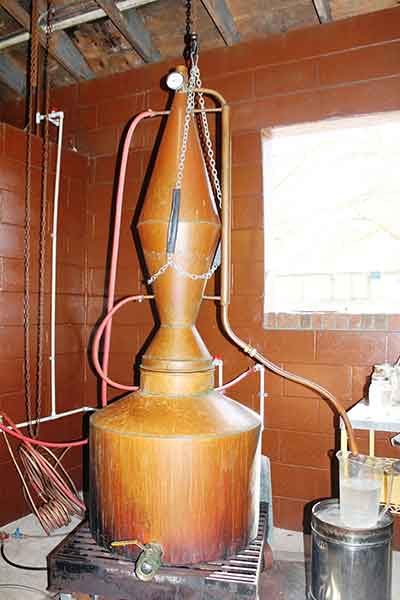 Die hauseigene kupferne Brennblase | Quelle: Florida Farm Distillers