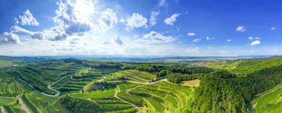 Der Kaiserstuhl in Baden - eine der beeindruckendsten Weinregionen Deutschlands ©magann via stock.adobe