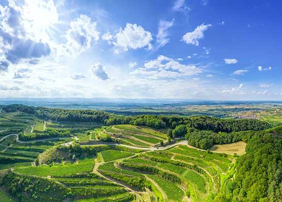 Der Kaiserstuhl in Baden - eine der beeindruckendsten Weinregionen Deutschlands ©magann via stock.adobe