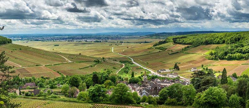 Im Burgund finden sich auf den Hügeln zumeist Wälder unter denen sich die Weinberge befinden. ©stock.adobe by Michael Evans