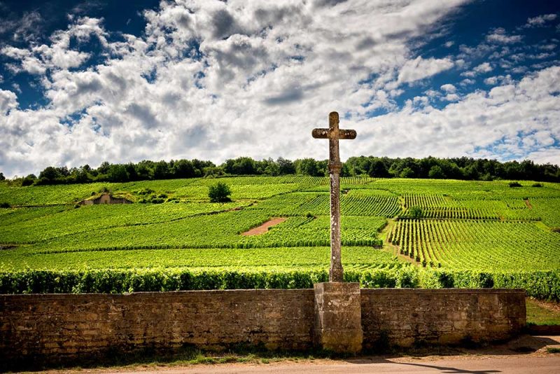 Das Burgund - eine einmalige Weinregion. Hier Weinberge in Vosne Romenée. © stock.adobe by Massimo Santi