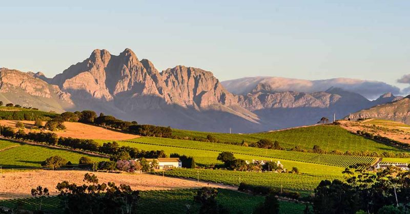 Stellenbosch - nicht nur ein Traumland für Wein, sondern auch fürs Auge | © dsphotographycpt via stock.adobe