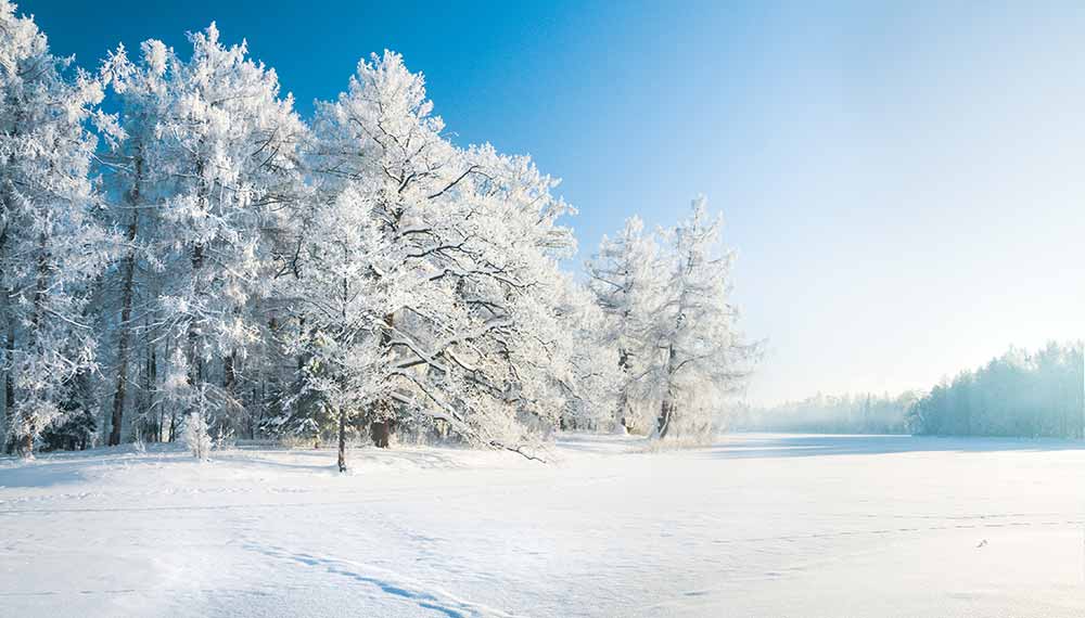 Eine traumhafte Winterlandschaft und der Geruch von Schnee liegt in der Luft | © Alexander Ozerov via adobe.stock